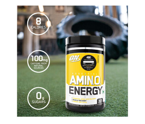 Optimum Nutrition (On) Amino Energy- Pre-Workout With Green Tea Extract, Bcaa, Amino Acids - PINEAPPLE