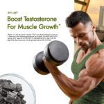 Kapiva Testofuel Shilajit Whey Protein, pack of 1 kg with 25g Protein, Cookies & Cream flavour 6 KP58